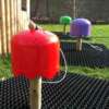 MUSIC MUSHROOMS PENTATONIC - Image 2